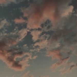 Meet your Posher, Mija